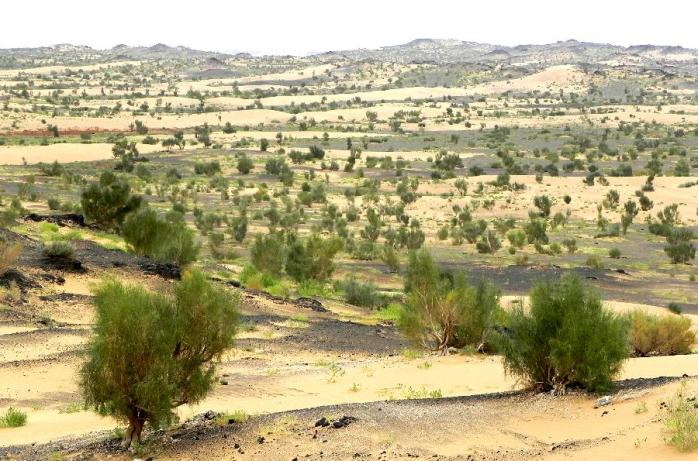 00114320db4111dc730a03