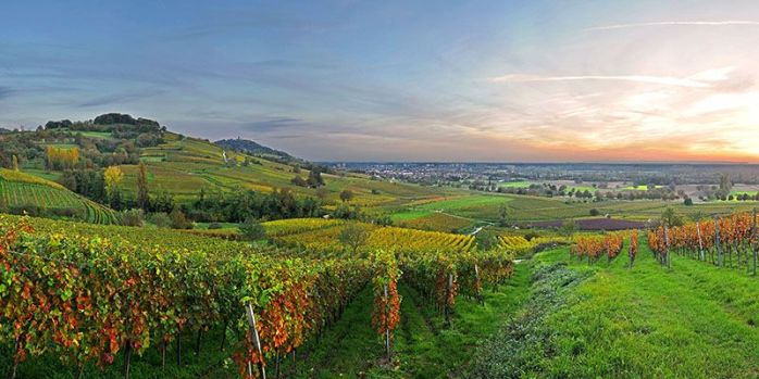 b656c8df266114a721963478f1ed6909